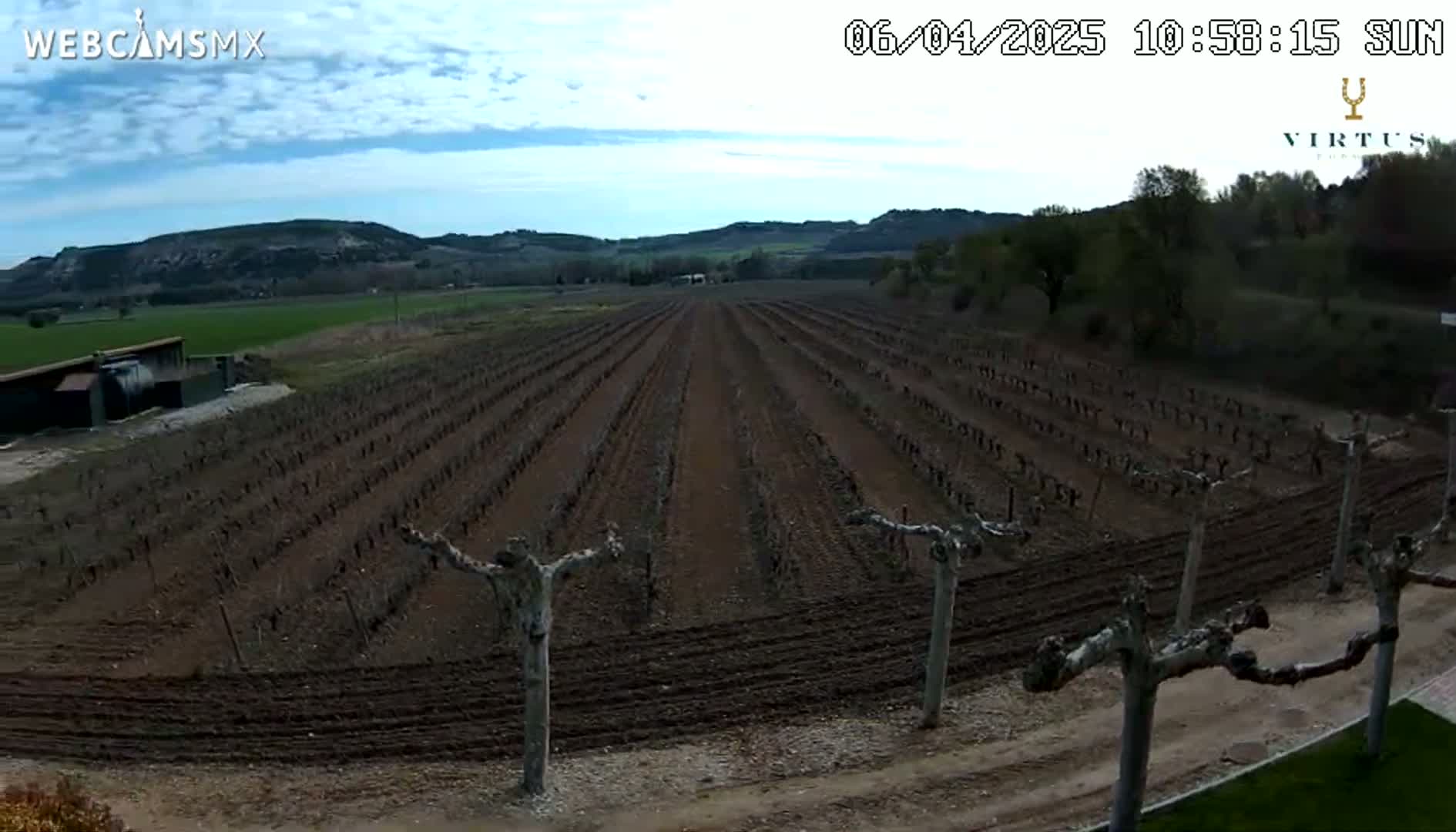 A long vineyard with bare vines extends across a brown, plowed field under a partly cloudy sky.