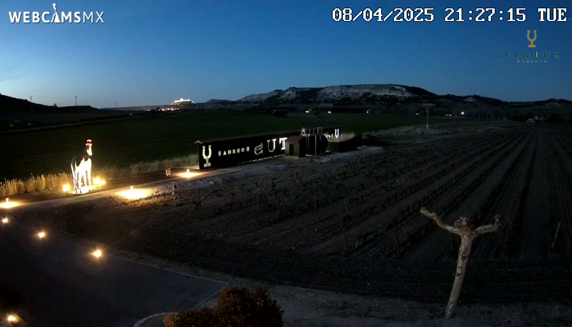 A nighttime view of a rural landscape showing a field of young plants, a large illuminated sign, a small illuminated sculpture of a cow, and a hill in the background under a twilight sky.