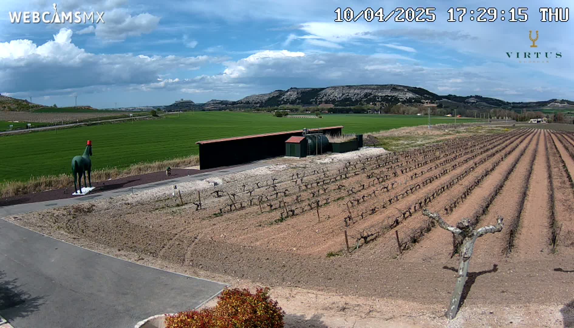 A partly cloudy day reveals a vineyard with rows of young grapevines, a large green horse statue wearing a red hat, and a long dark building in the foreground, all set against a backdrop of rolling hills and a green plain.