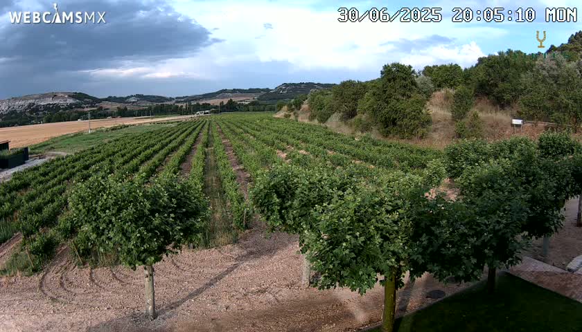 (Virtus Wineries)  Bodegas Virtus ,Ribera del Duero Live Cam - Valladolid, Castilla & Leon, Spain