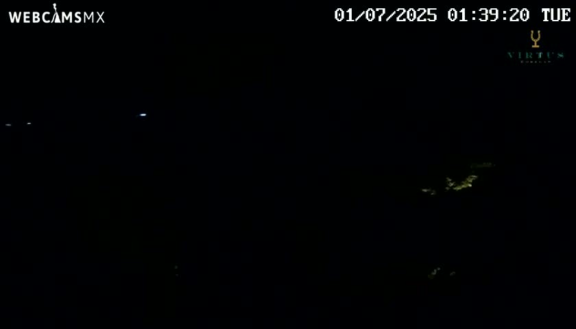 (Virtus Wineries)  Bodegas Virtus ,Ribera del Duero Live Cam - Valladolid, Castilla & Leon, Spain