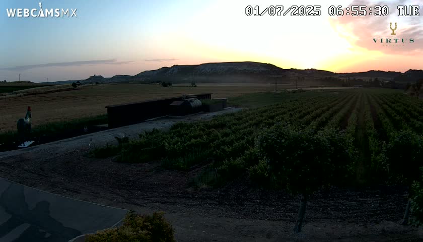 (Virtus Wineries)  Bodegas Virtus ,Ribera del Duero Live Cam - Valladolid, Castilla & Leon, Spain