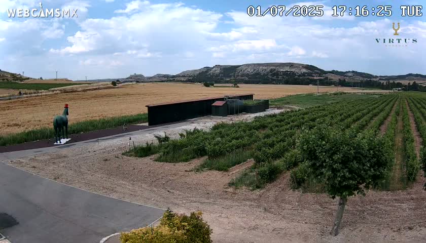 (Virtus Wineries)  Bodegas Virtus ,Ribera del Duero Live Cam - Valladolid, Castilla & Leon, Spain