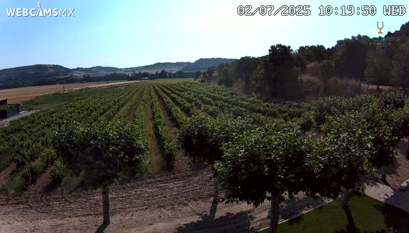 (Virtus Wineries)  Bodegas Virtus ,Ribera del Duero Live Cam - Valladolid, Castilla & Leon, Spain