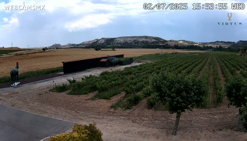 (Virtus Wineries)  Bodegas Virtus ,Ribera del Duero Live Cam - Valladolid, Castilla & Leon, Spain