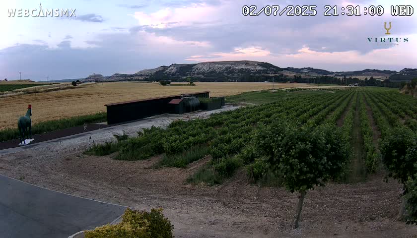 (Virtus Wineries)  Bodegas Virtus ,Ribera del Duero Live Cam - Valladolid, Castilla & Leon, Spain