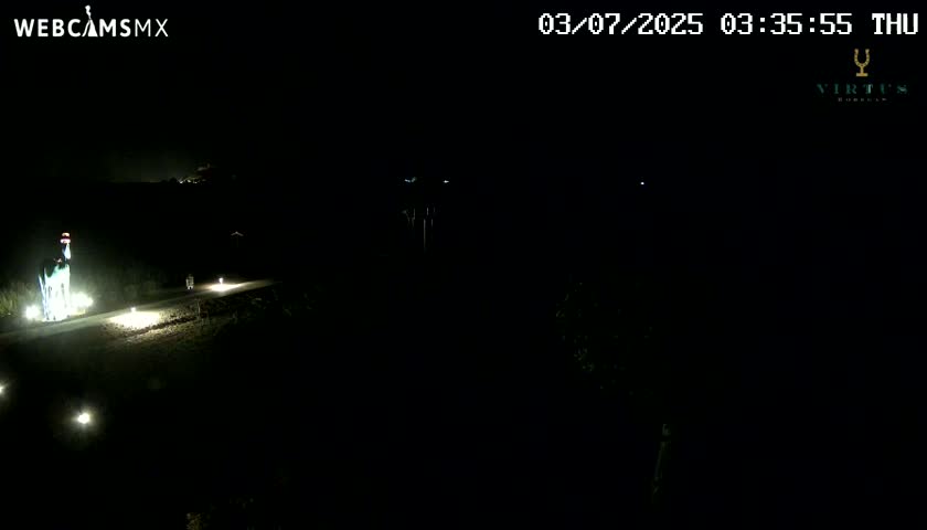 (Virtus Wineries)  Bodegas Virtus ,Ribera del Duero Live Cam - Valladolid, Castilla & Leon, Spain