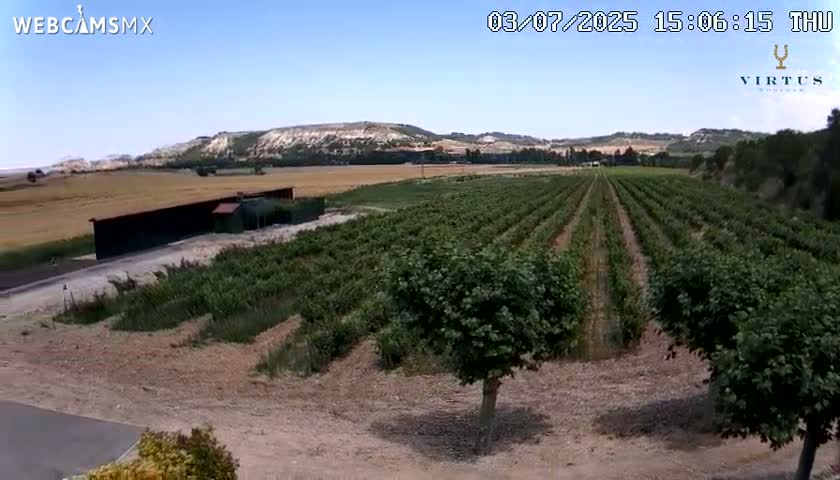 (Virtus Wineries)  Bodegas Virtus ,Ribera del Duero Live Cam - Valladolid, Castilla & Leon, Spain