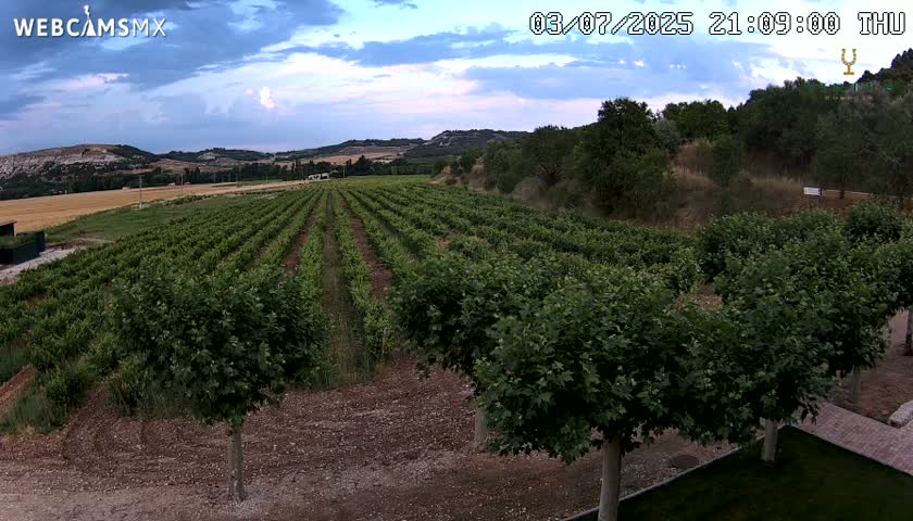 (Virtus Wineries)  Bodegas Virtus ,Ribera del Duero Live Cam - Valladolid, Castilla & Leon, Spain