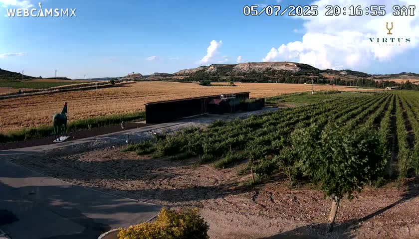 (Virtus Wineries)  Bodegas Virtus ,Ribera del Duero Live Cam - Valladolid, Castilla & Leon, Spain