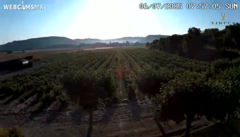 (Virtus Wineries)  Bodegas Virtus ,Ribera del Duero Live Cam - Valladolid, Castilla & Leon, Spain