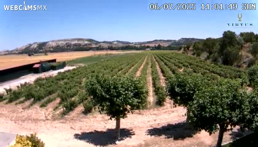(Virtus Wineries)  Bodegas Virtus ,Ribera del Duero Live Cam - Valladolid, Castilla & Leon, Spain