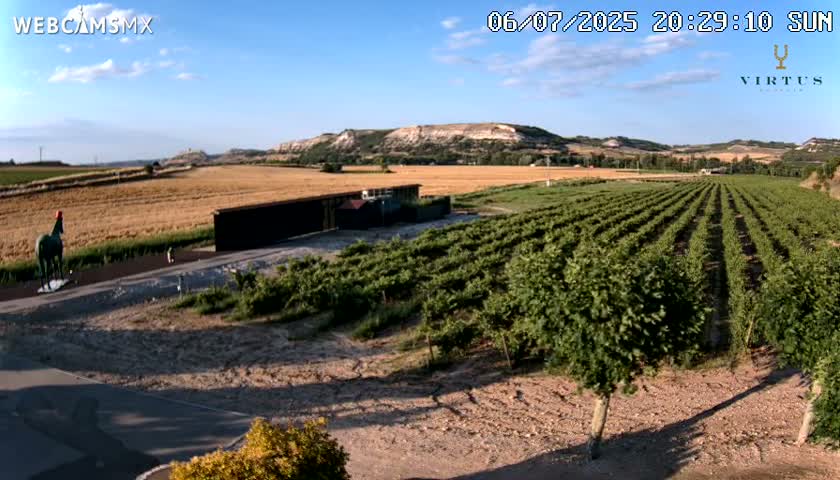 (Virtus Wineries)  Bodegas Virtus ,Ribera del Duero Live Cam - Valladolid, Castilla & Leon, Spain