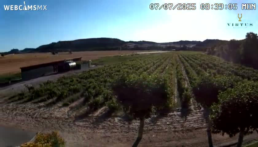(Virtus Wineries)  Bodegas Virtus ,Ribera del Duero Live Cam - Valladolid, Castilla & Leon, Spain
