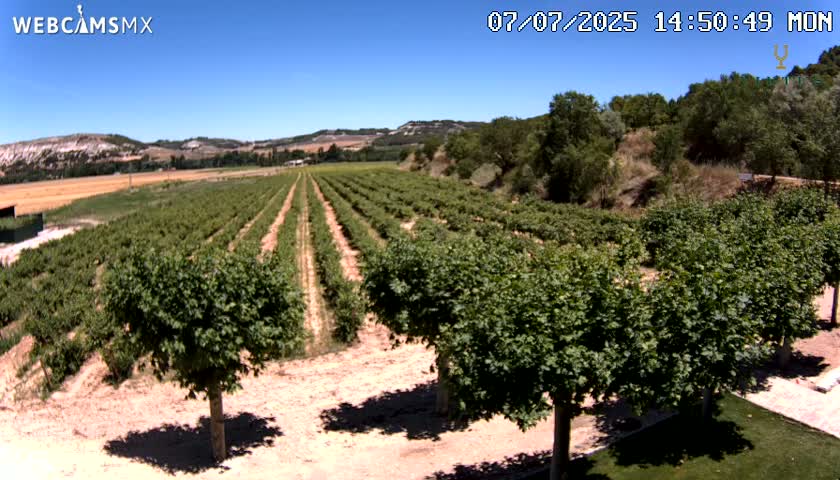 (Virtus Wineries)  Bodegas Virtus ,Ribera del Duero Live Cam - Valladolid, Castilla & Leon, Spain