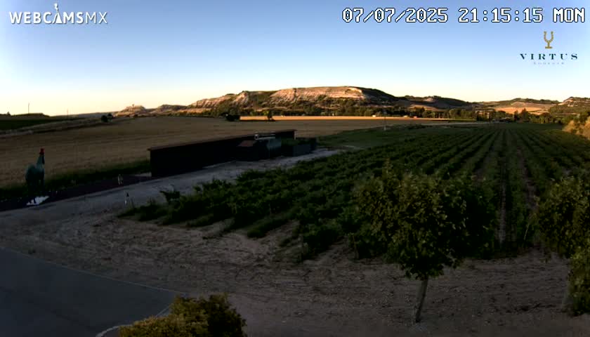 (Virtus Wineries)  Bodegas Virtus ,Ribera del Duero Live Cam - Valladolid, Castilla & Leon, Spain