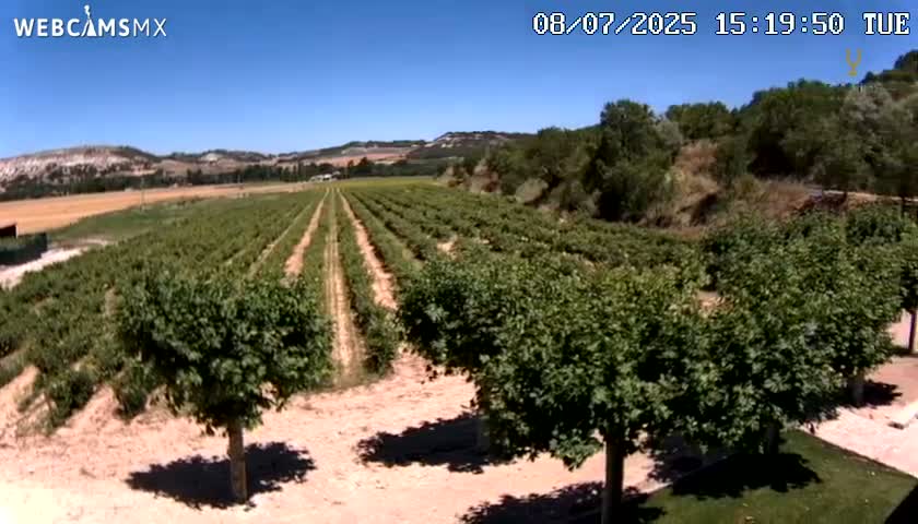 (Virtus Wineries)  Bodegas Virtus ,Ribera del Duero Live Cam - Valladolid, Castilla & Leon, Spain