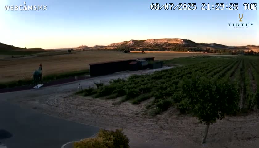 (Virtus Wineries)  Bodegas Virtus ,Ribera del Duero Live Cam - Valladolid, Castilla & Leon, Spain