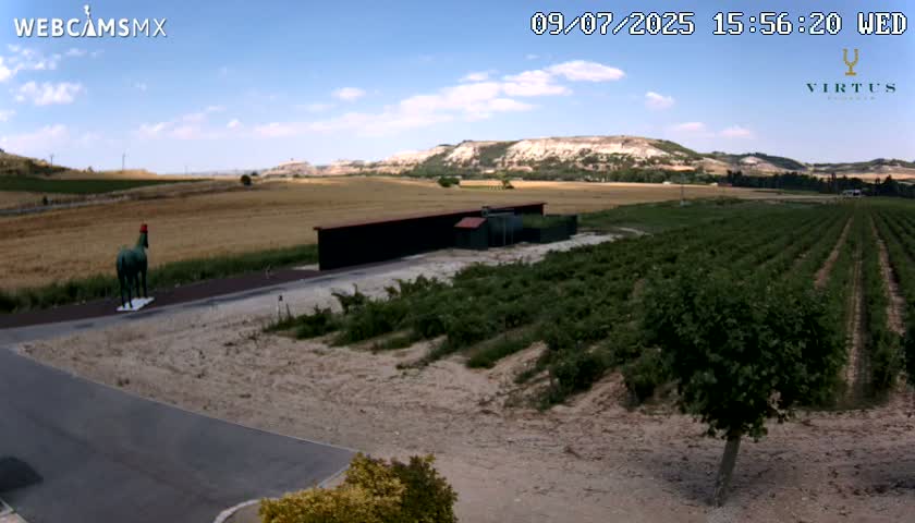 (Virtus Wineries)  Bodegas Virtus ,Ribera del Duero Live Cam - Valladolid, Castilla & Leon, Spain