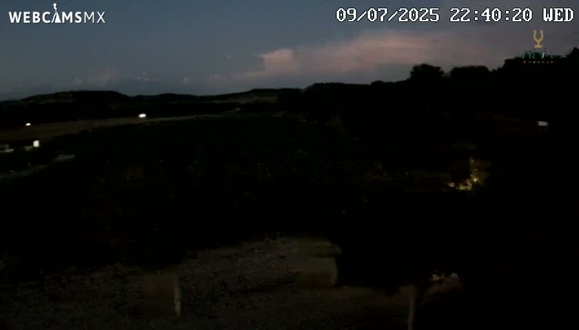 (Virtus Wineries)  Bodegas Virtus ,Ribera del Duero Live Cam - Valladolid, Castilla & Leon, Spain