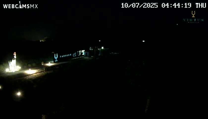(Virtus Wineries)  Bodegas Virtus ,Ribera del Duero Live Cam - Valladolid, Castilla & Leon, Spain
