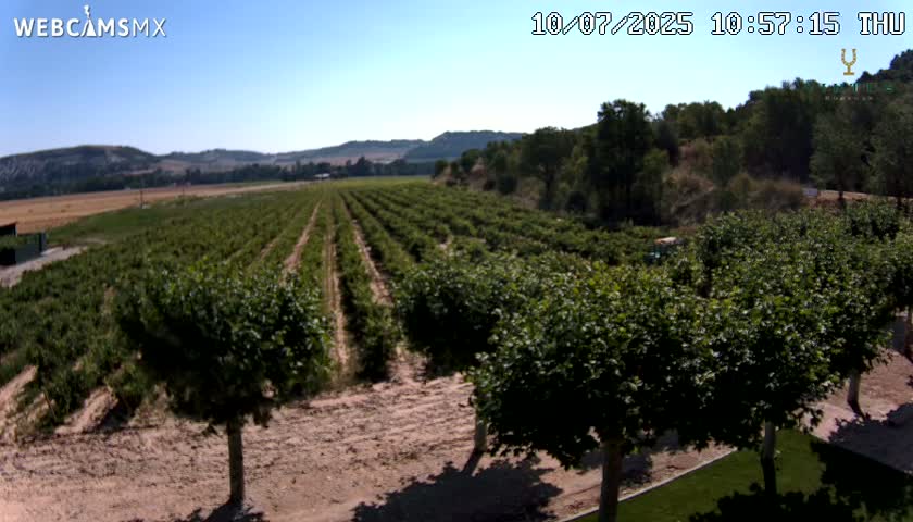 (Virtus Wineries)  Bodegas Virtus ,Ribera del Duero Live Cam - Valladolid, Castilla & Leon, Spain