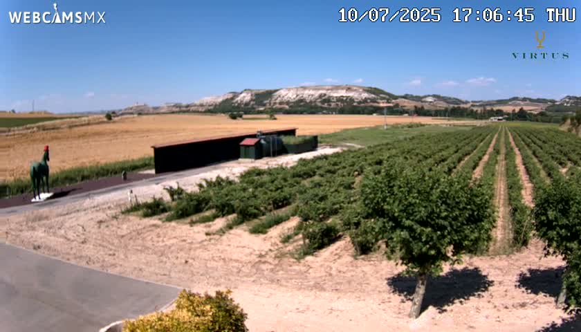 (Virtus Wineries)  Bodegas Virtus ,Ribera del Duero Live Cam - Valladolid, Castilla & Leon, Spain