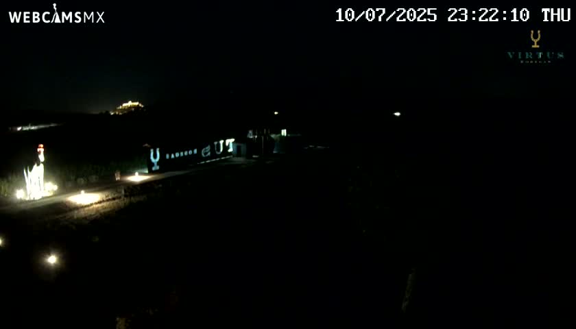 (Virtus Wineries)  Bodegas Virtus ,Ribera del Duero Live Cam - Valladolid, Castilla & Leon, Spain