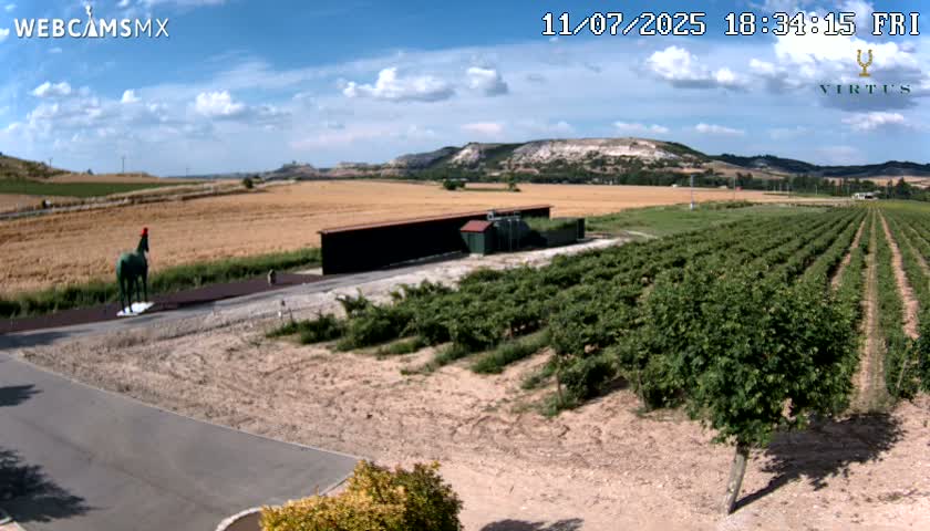 (Virtus Wineries)  Bodegas Virtus ,Ribera del Duero Live Cam - Valladolid, Castilla & Leon, Spain