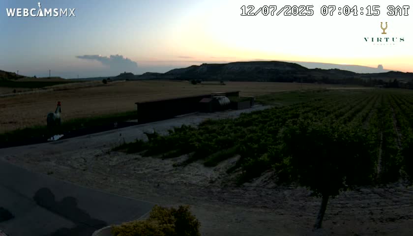 (Virtus Wineries)  Bodegas Virtus ,Ribera del Duero Live Cam - Valladolid, Castilla & Leon, Spain