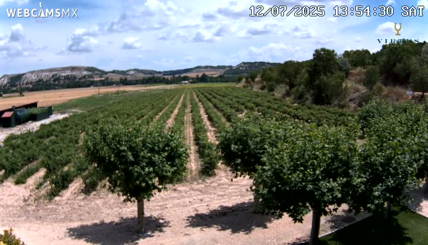 (Virtus Wineries)  Bodegas Virtus ,Ribera del Duero Live Cam - Valladolid, Castilla & Leon, Spain