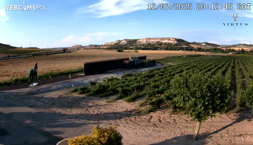 (Virtus Wineries)  Bodegas Virtus ,Ribera del Duero Live Cam - Valladolid, Castilla & Leon, Spain