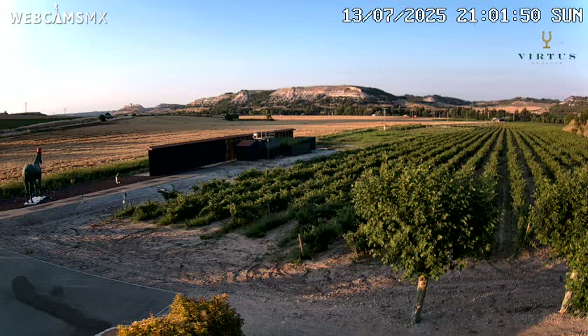 (Virtus Wineries)  Bodegas Virtus ,Ribera del Duero Live Cam - Valladolid, Castilla & Leon, Spain