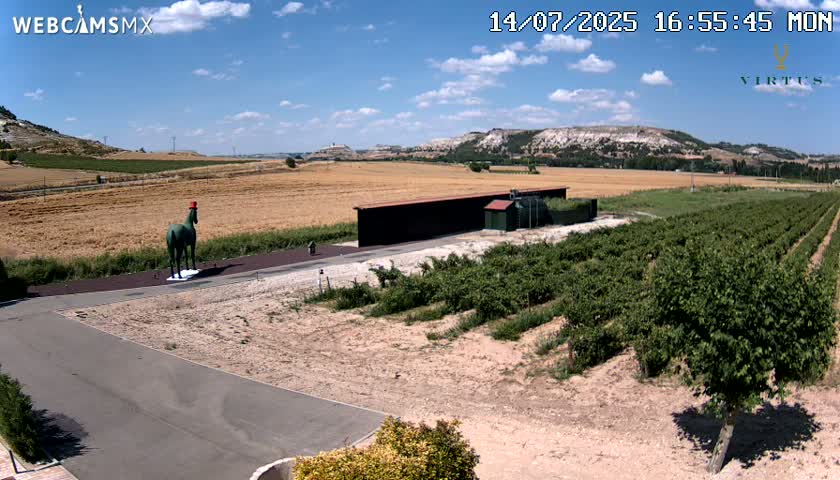 (Virtus Wineries)  Bodegas Virtus ,Ribera del Duero Live Cam - Valladolid, Castilla & Leon, Spain