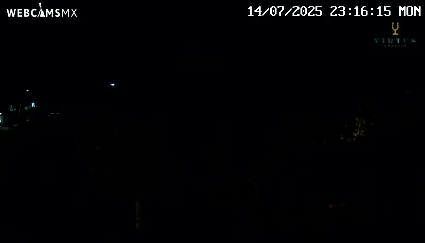 (Virtus Wineries)  Bodegas Virtus ,Ribera del Duero Live Cam - Valladolid, Castilla & Leon, Spain