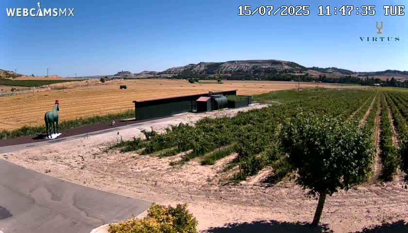 (Virtus Wineries)  Bodegas Virtus ,Ribera del Duero Live Cam - Valladolid, Castilla & Leon, Spain
