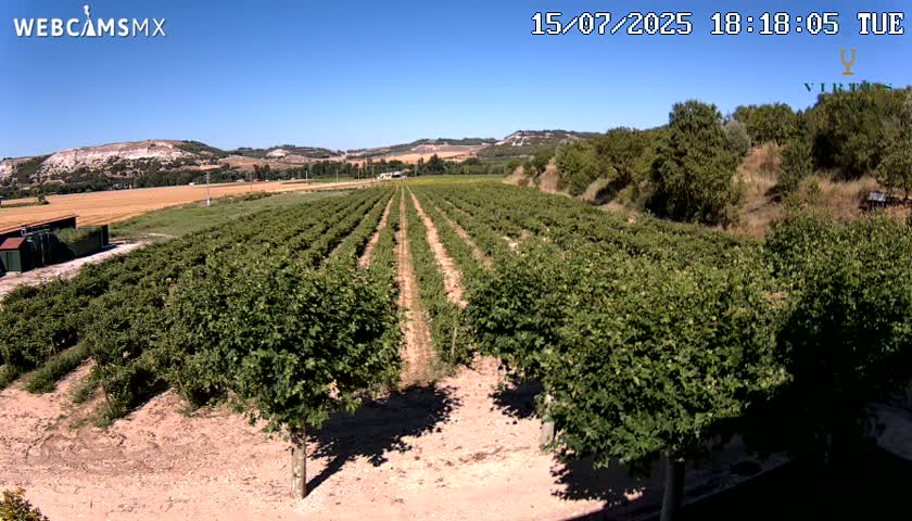 (Virtus Wineries)  Bodegas Virtus ,Ribera del Duero Live Cam - Valladolid, Castilla & Leon, Spain