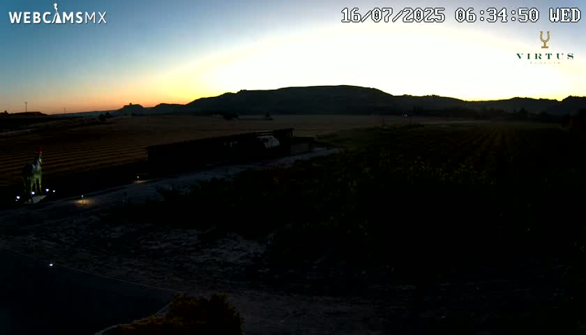 (Virtus Wineries)  Bodegas Virtus ,Ribera del Duero Live Cam - Valladolid, Castilla & Leon, Spain