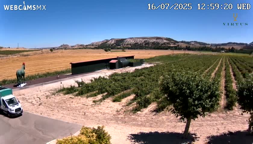 (Virtus Wineries)  Bodegas Virtus ,Ribera del Duero Live Cam - Valladolid, Castilla & Leon, Spain