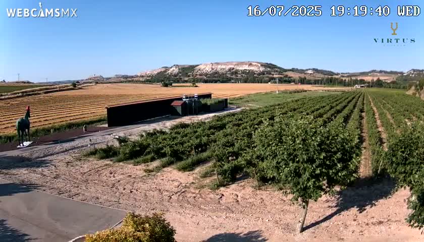 (Virtus Wineries)  Bodegas Virtus ,Ribera del Duero Live Cam - Valladolid, Castilla & Leon, Spain