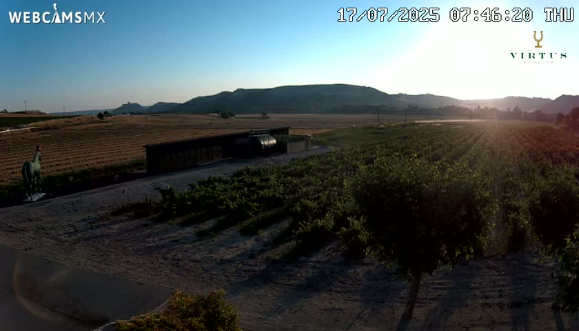 (Virtus Wineries)  Bodegas Virtus ,Ribera del Duero Live Cam - Valladolid, Castilla & Leon, Spain