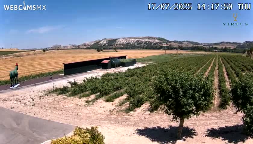 (Virtus Wineries)  Bodegas Virtus ,Ribera del Duero Live Cam - Valladolid, Castilla & Leon, Spain