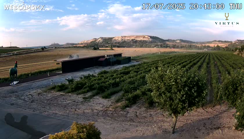 (Virtus Wineries)  Bodegas Virtus ,Ribera del Duero Live Cam - Valladolid, Castilla & Leon, Spain