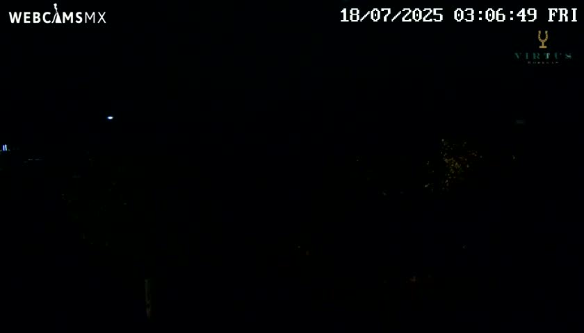 (Virtus Wineries)  Bodegas Virtus ,Ribera del Duero Live Cam - Valladolid, Castilla & Leon, Spain