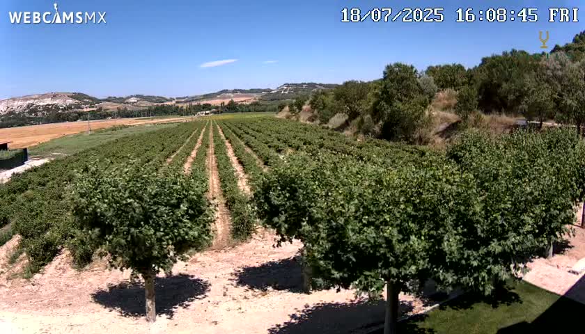 (Virtus Wineries)  Bodegas Virtus ,Ribera del Duero Live Cam - Valladolid, Castilla & Leon, Spain