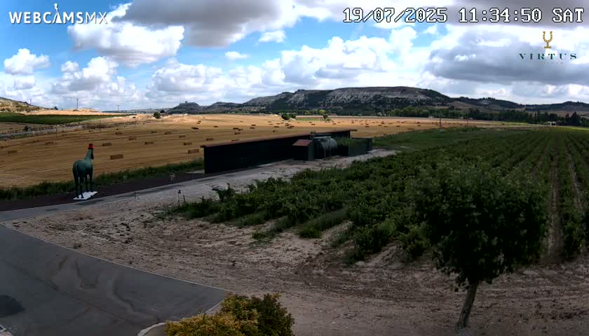 (Virtus Wineries)  Bodegas Virtus ,Ribera del Duero Live Cam - Valladolid, Castilla & Leon, Spain