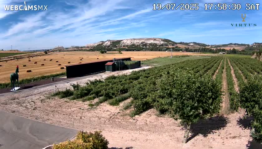 (Virtus Wineries)  Bodegas Virtus ,Ribera del Duero Live Cam - Valladolid, Castilla & Leon, Spain