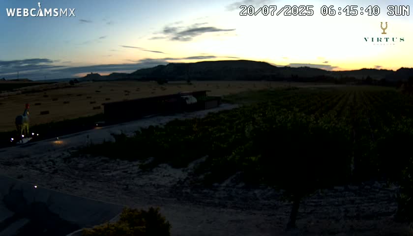 (Virtus Wineries)  Bodegas Virtus ,Ribera del Duero Live Cam - Valladolid, Castilla & Leon, Spain