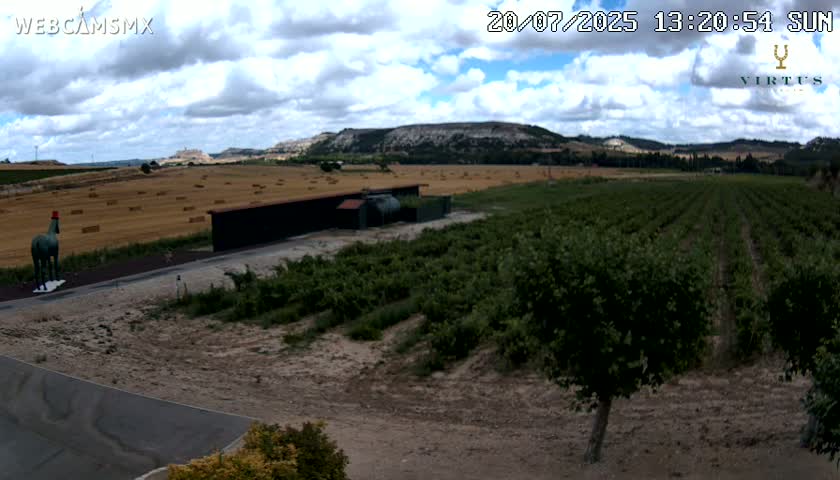 (Virtus Wineries)  Bodegas Virtus ,Ribera del Duero Live Cam - Valladolid, Castilla & Leon, Spain