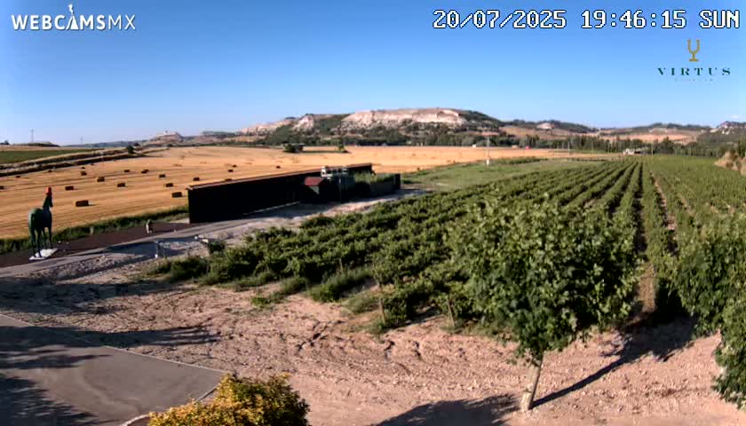 (Virtus Wineries)  Bodegas Virtus ,Ribera del Duero Live Cam - Valladolid, Castilla & Leon, Spain